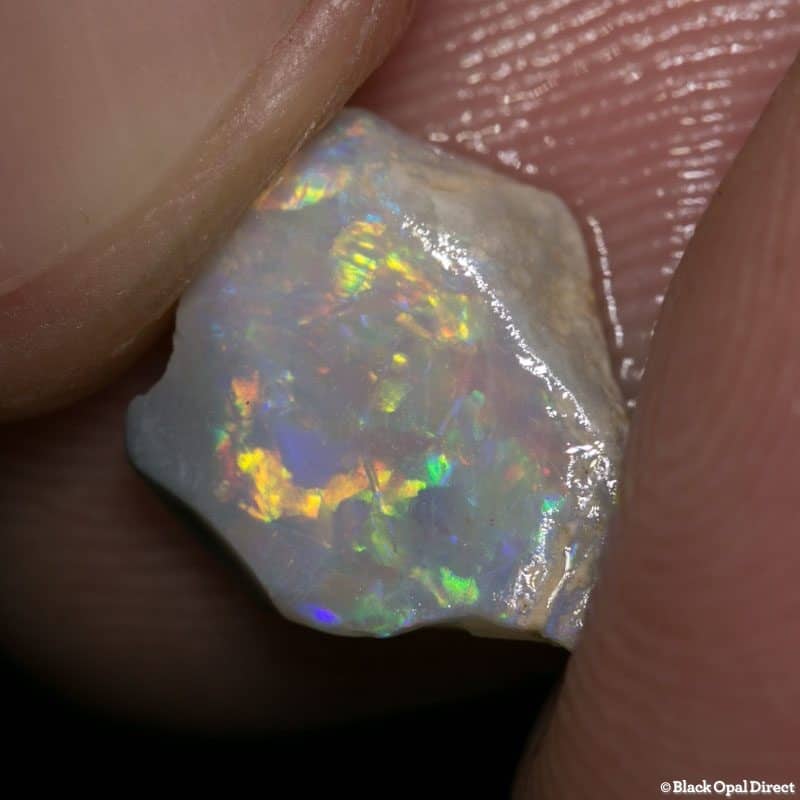 1.68 ct rough opal piece 11mm across