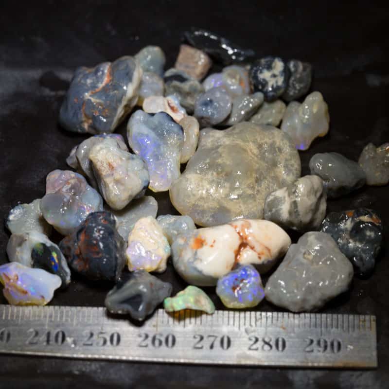 191 ct Beginners Rough Opal with Video Tutorials