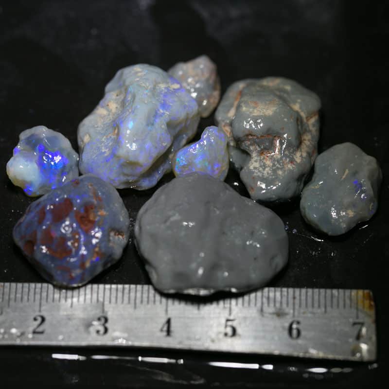 107 ct Beginners Rough Opal with Video Tutorials