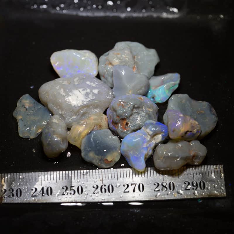 134ct Beginners Rough Opal with Video Tutorials