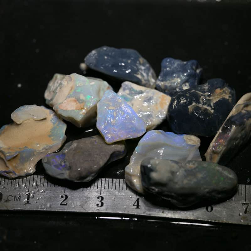 141 ct Beginners Rough Opal with Video Tutorials