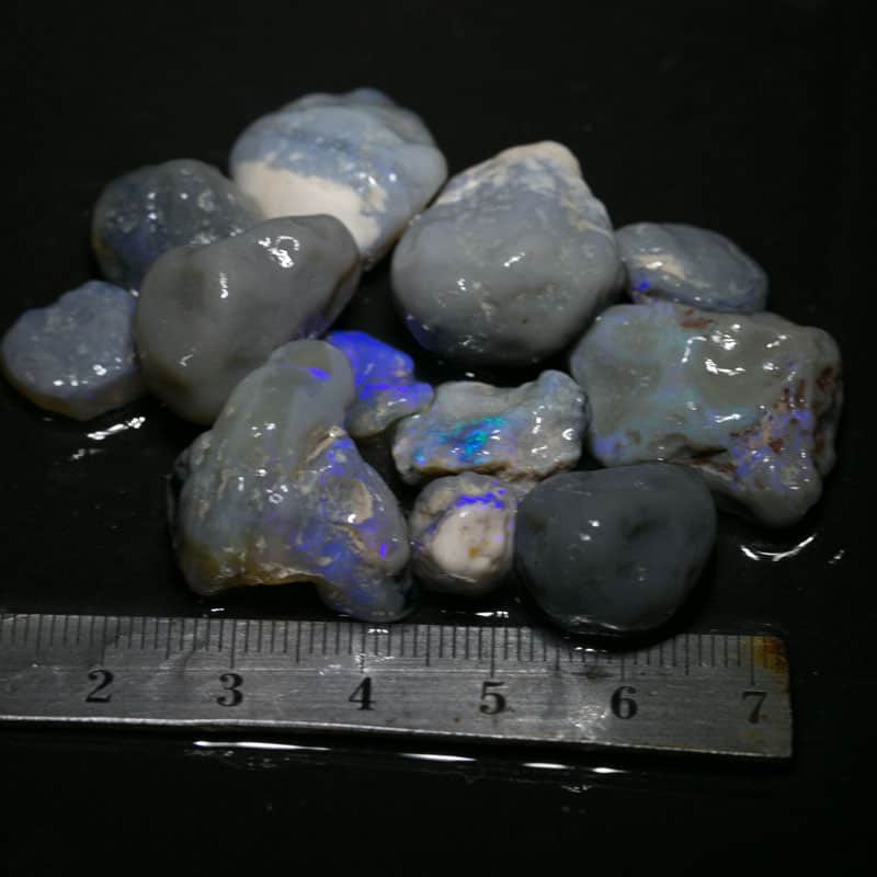 141 ct Beginners Rough Opal with Video Tutorials