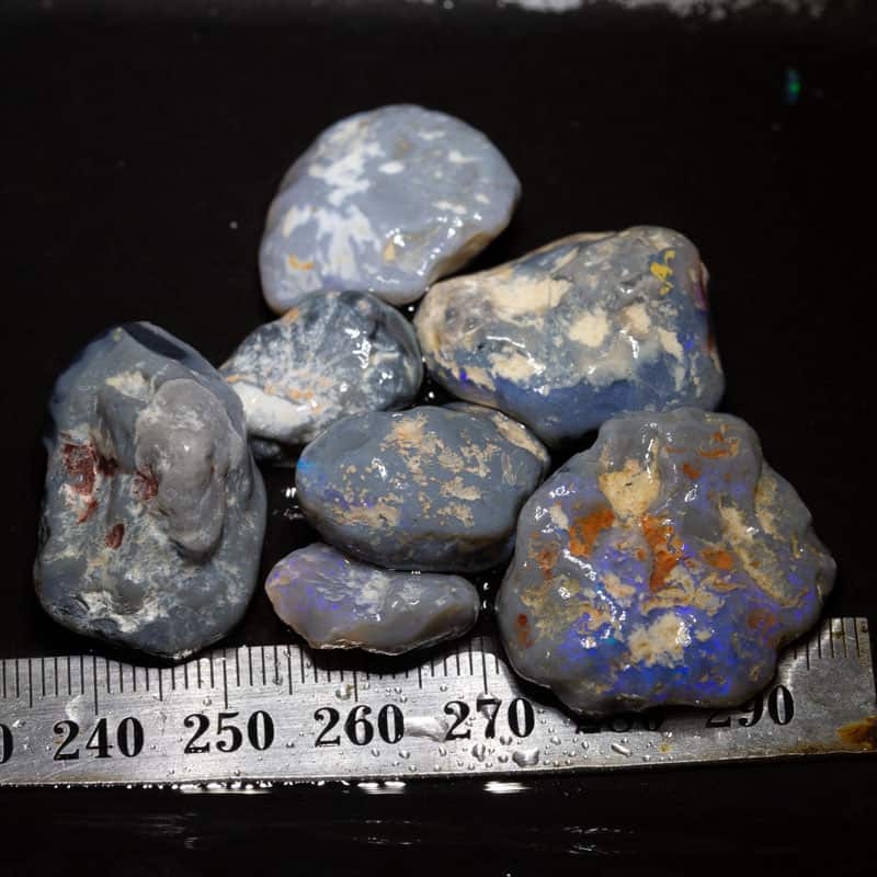 147 ct Beginners Rough Opal with Video Tutorials