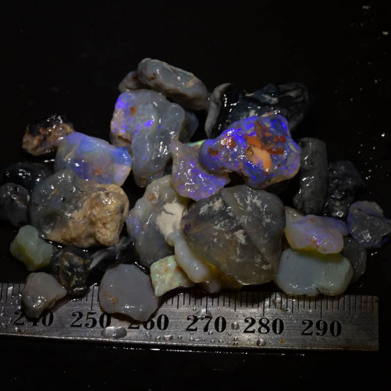 156 ct Beginners Rough Opal with Video Tutorials