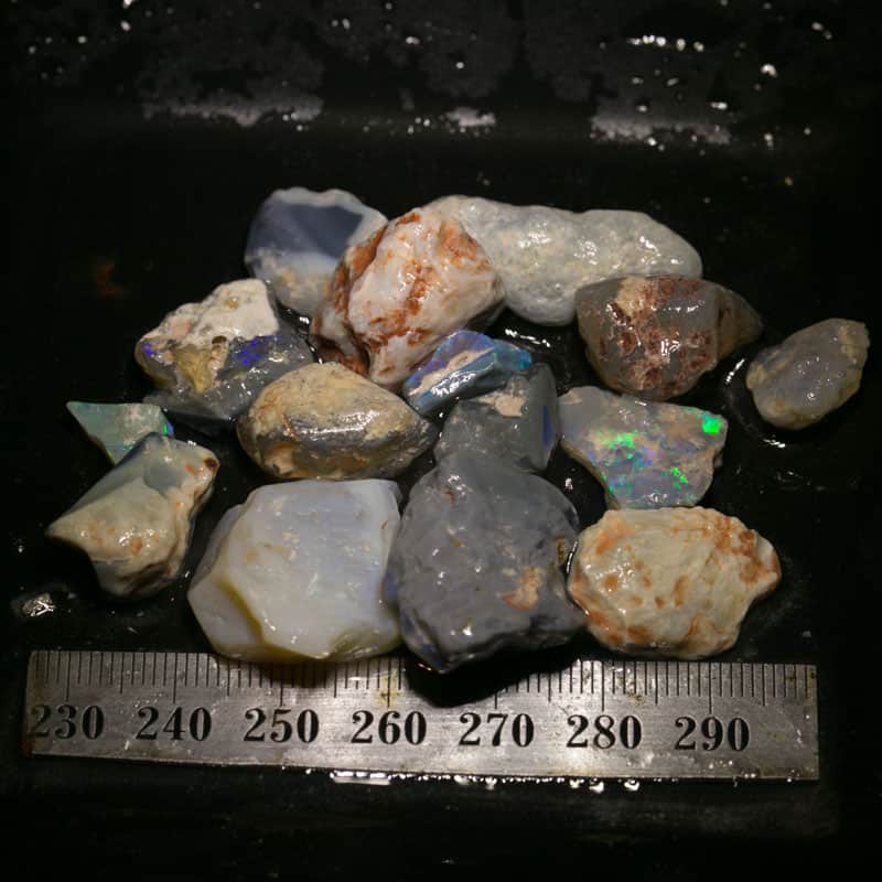 157 ct Beginners Rough Opal with Video Tutorials