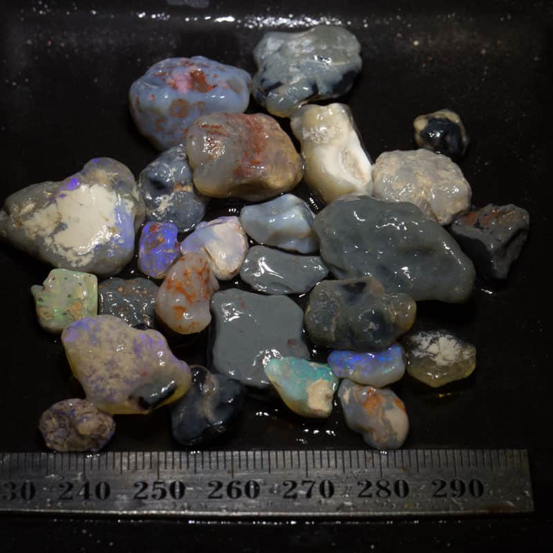 157ct Beginners Rough Opal with Video Tutorials