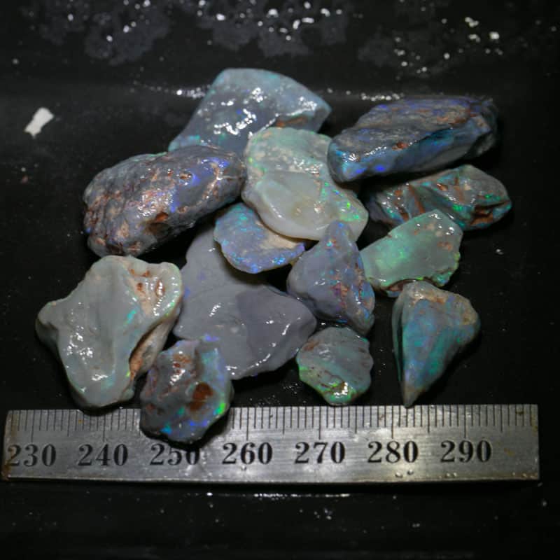161 ct Beginners Rough Opal with Video Tutorials