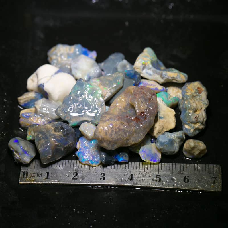 165 ct Beginners Rough Opal with Video Tutorials