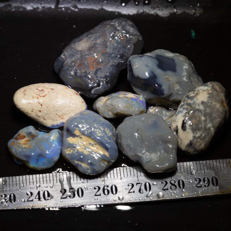 168 ct Beginners Rough Opal with Video Tutorials