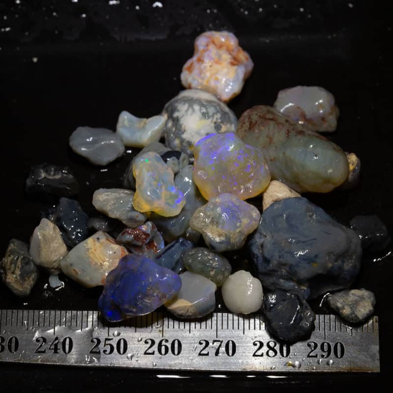 169 ct Beginners Rough Opal with Video Tutorials