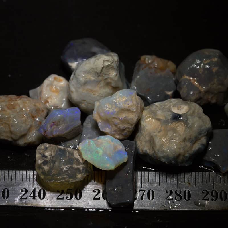 173 ct Beginners Rough Opal with Video Tutorials