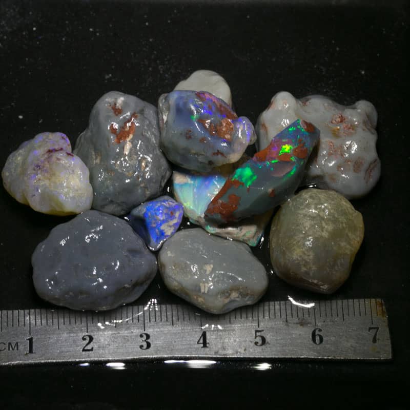 174 ct Beginners Rough Opal with Video Tutorials