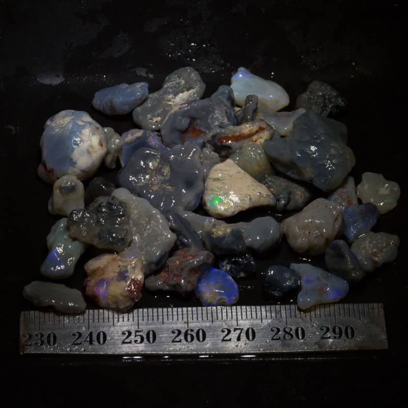 174ct Beginners Rough Opal with Video Tutorials