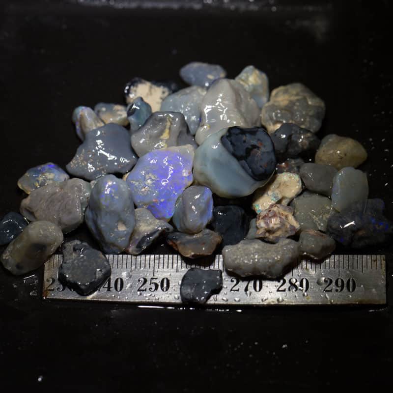 174ct Beginners Rough Opal with Video Tutorials