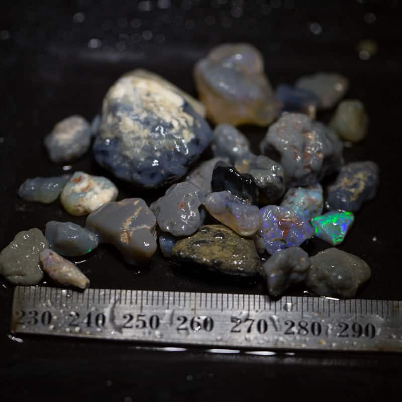 178ct Beginners Rough Opal with Video Tutorials - Image 3