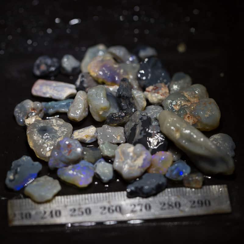 178ct Beginners Rough Opal with Video Tutorials - Image 5