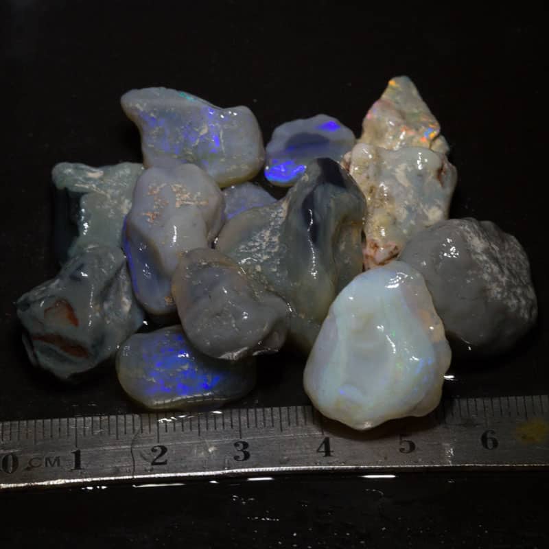 179 ct Beginners Rough Opal with Video Tutorials