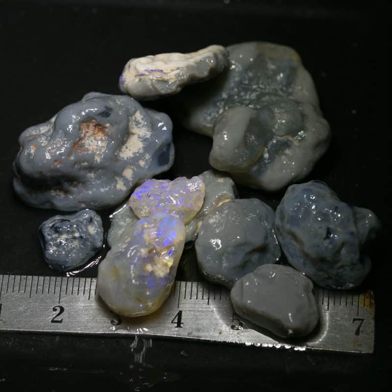 186 ct Beginners Rough Opal with Video Tutorials