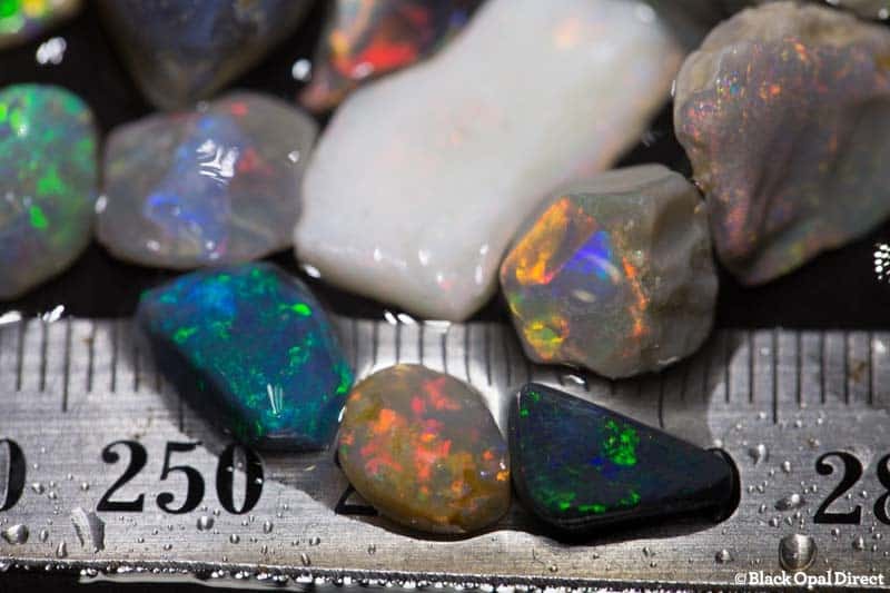 187 ct rough opal parcel for intermediate opal cutters