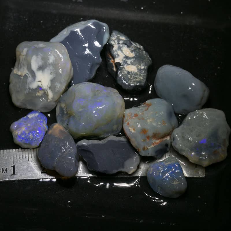 188 ct Beginners Rough Opal with Video Tutorials
