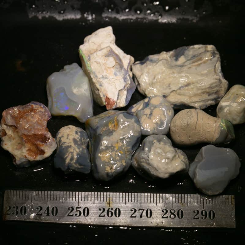 192 ct Beginners Rough Opal with Video Tutorials