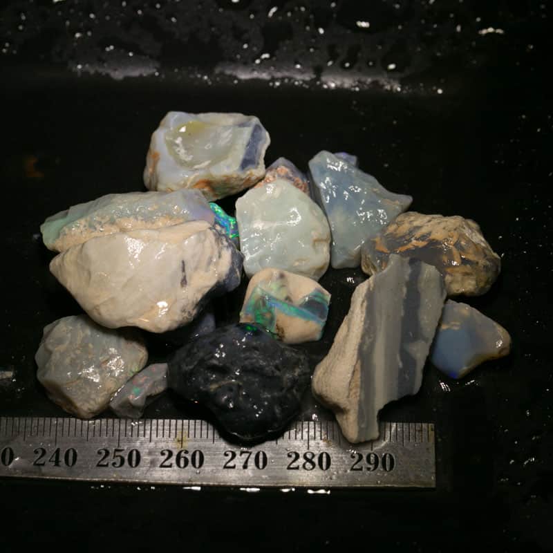 194 ct Beginners Rough Opal with Video Tutorials