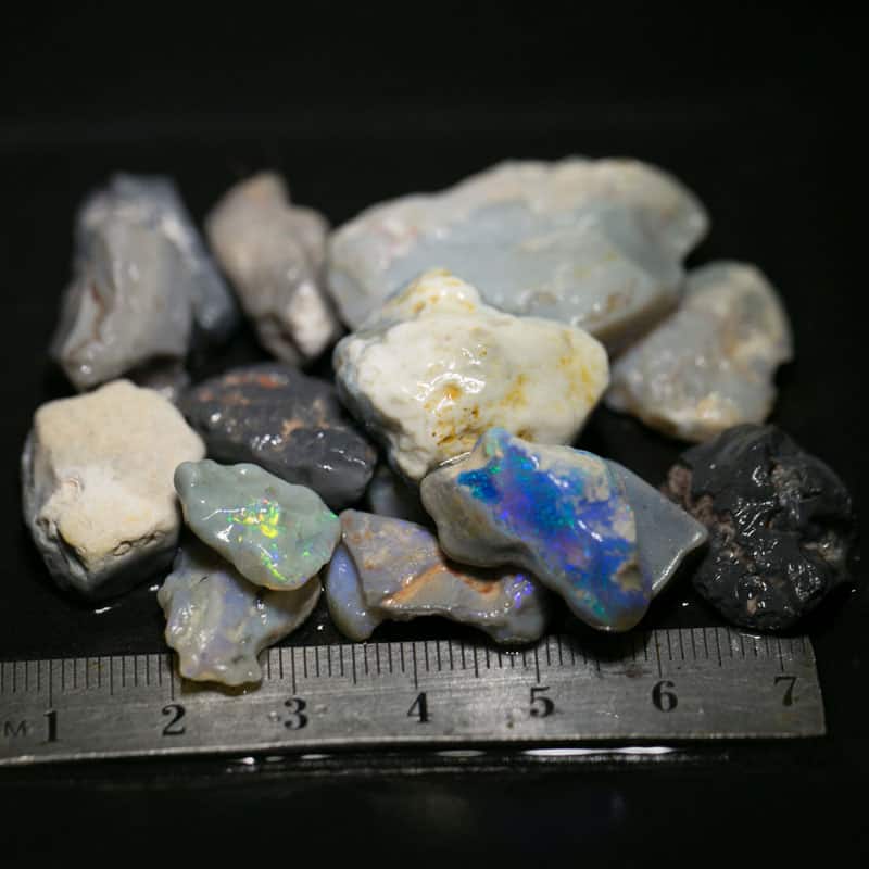 197 ct Beginners Rough Opal with Video Tutorials