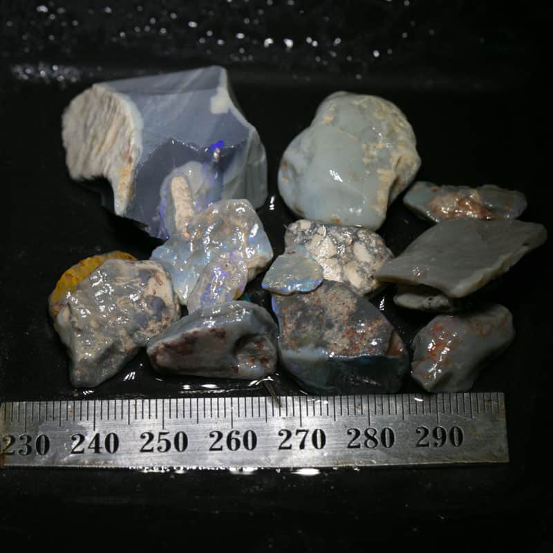 201 ct Beginners Rough Opal with Video Tutorials