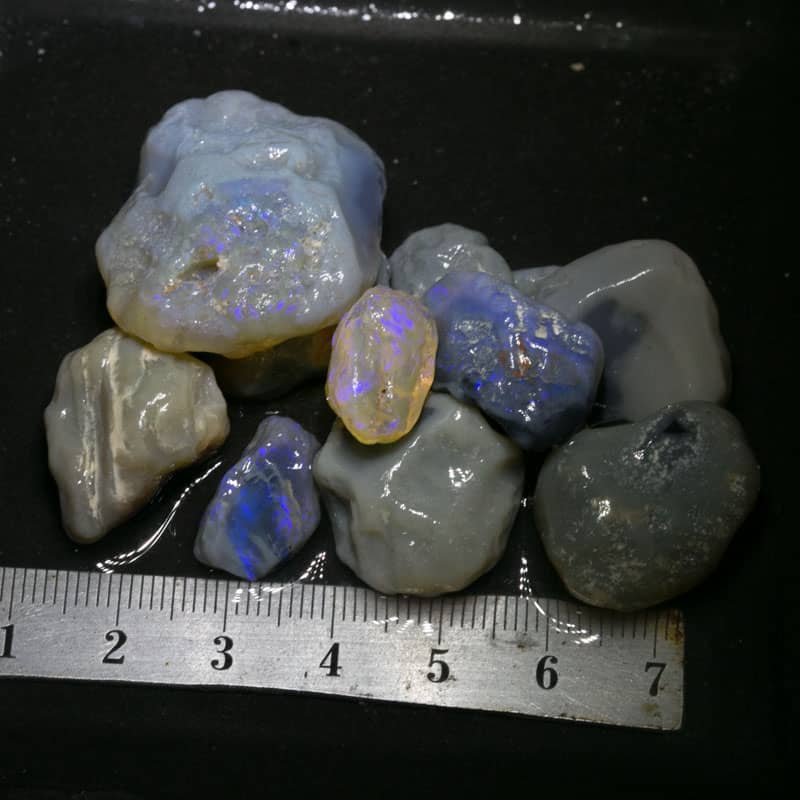 202 ct Beginners Rough Opal with Video Tutorials