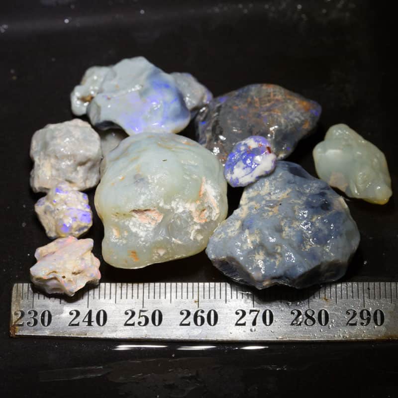 202 ct Beginners Rough Opal with Video Tutorials