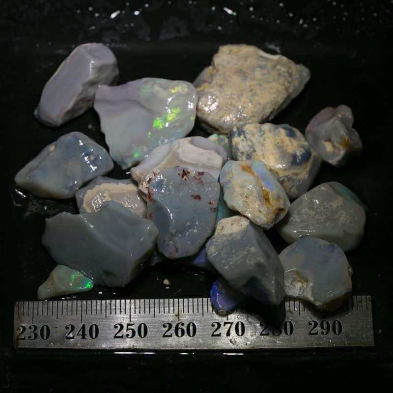204 ct Beginners Rough Opal with Video Tutorials