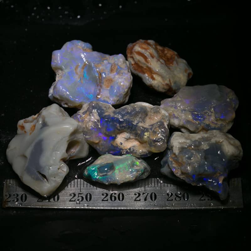 210 ct Beginners Rough Opal with Video Tutorials