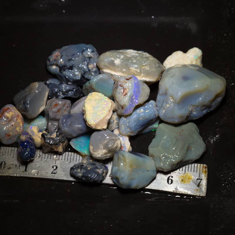 210 ct Beginners Rough Opal with Video Tutorials
