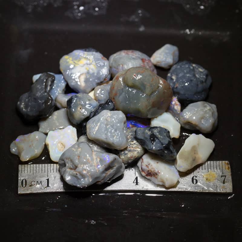 215 ct Beginners Rough Opal with Video Tutorials