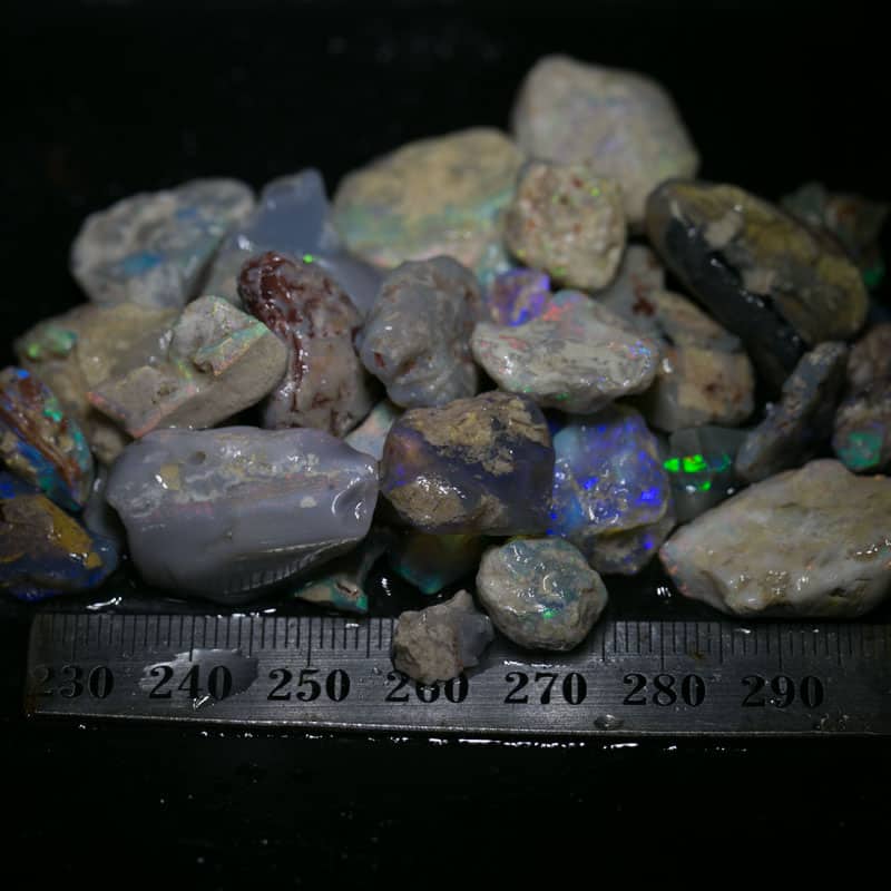 224 ct Beginners Rough Opal with Video Tutorials