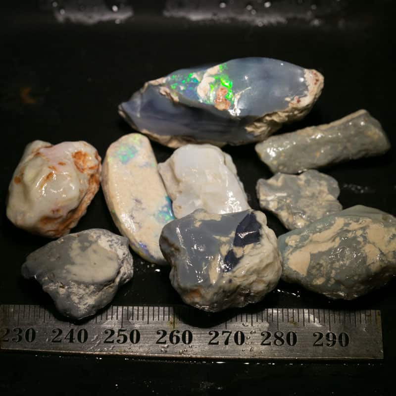 226 ct Beginners Rough Opal with Video Tutorials