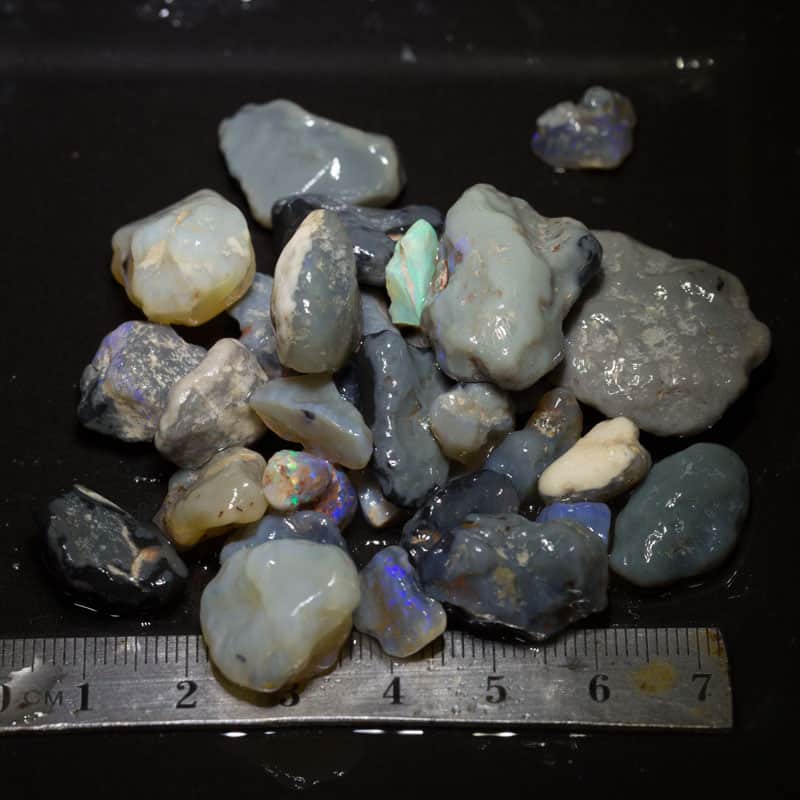 232 ct Beginners Rough Opal with Video Tutorials