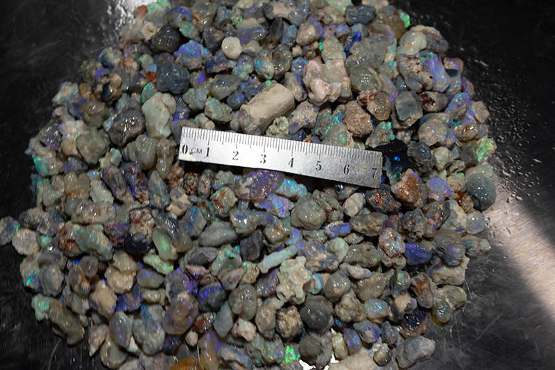 2350 carat rough pea nobby opal parcel - Image 2