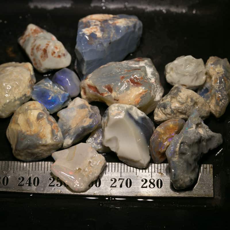 238 ct Beginners Rough Opal with Video Tutorials