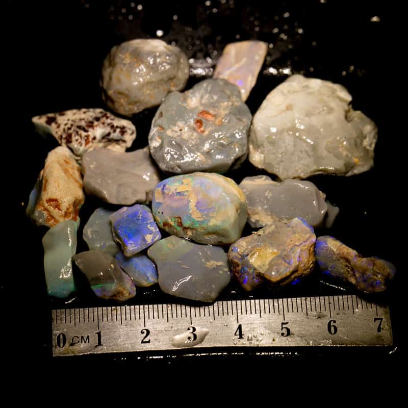 239 ct Beginners Rough Opal with Video Tutorials