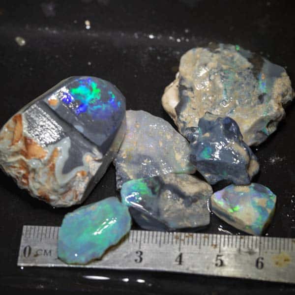 244 ct rough opal parcel 7pc
