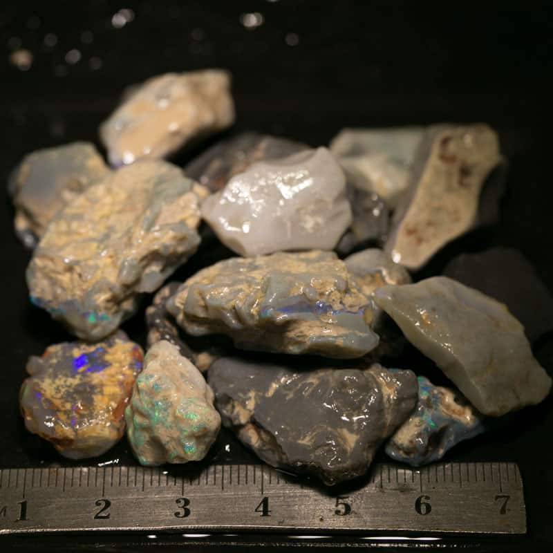 245 ct Beginners Rough Opal with Video Tutorials