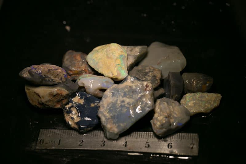 252 ct Beginners Rough Opal with Video Tutorials