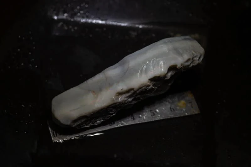 255 ct rough opal piece 77mm across