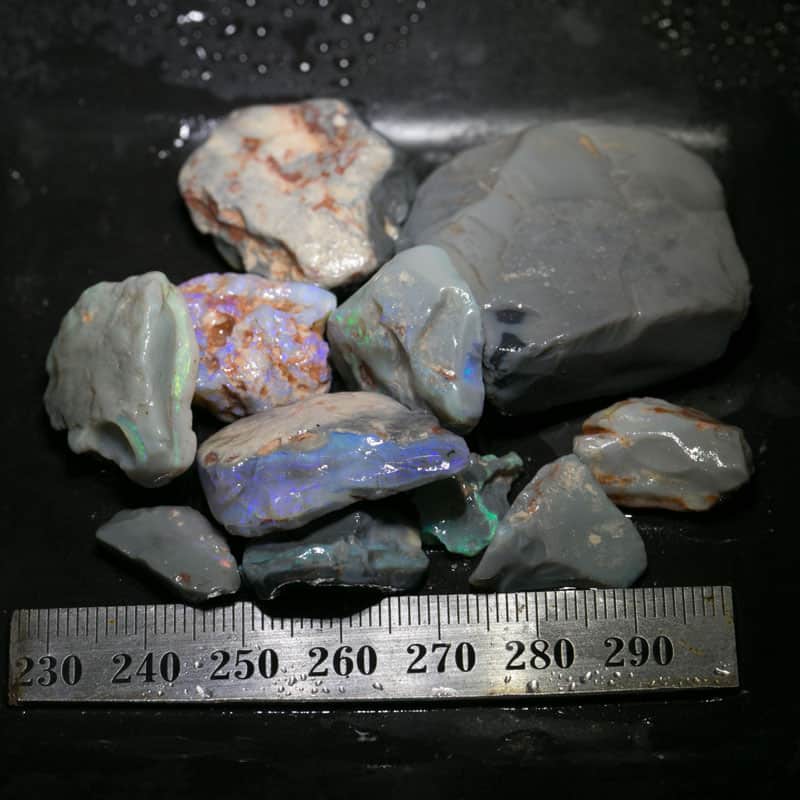 257 ct Beginners Rough Opal with Video Tutorials