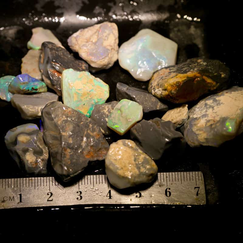 262 ct Beginners Rough Opal with Video Tutorials