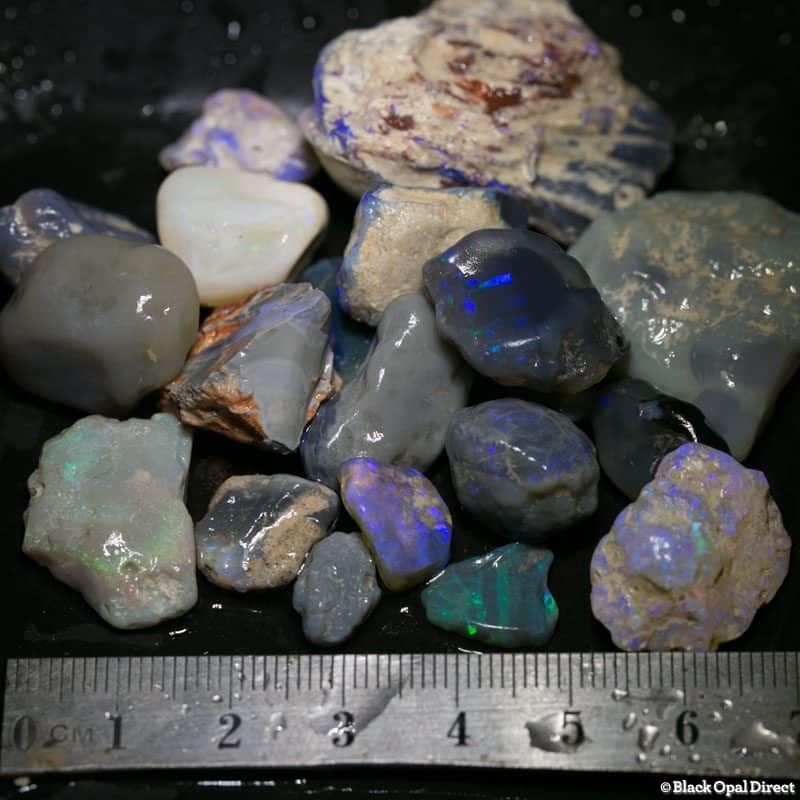 266 ct Beginners Rough Opal with Video Tutorials