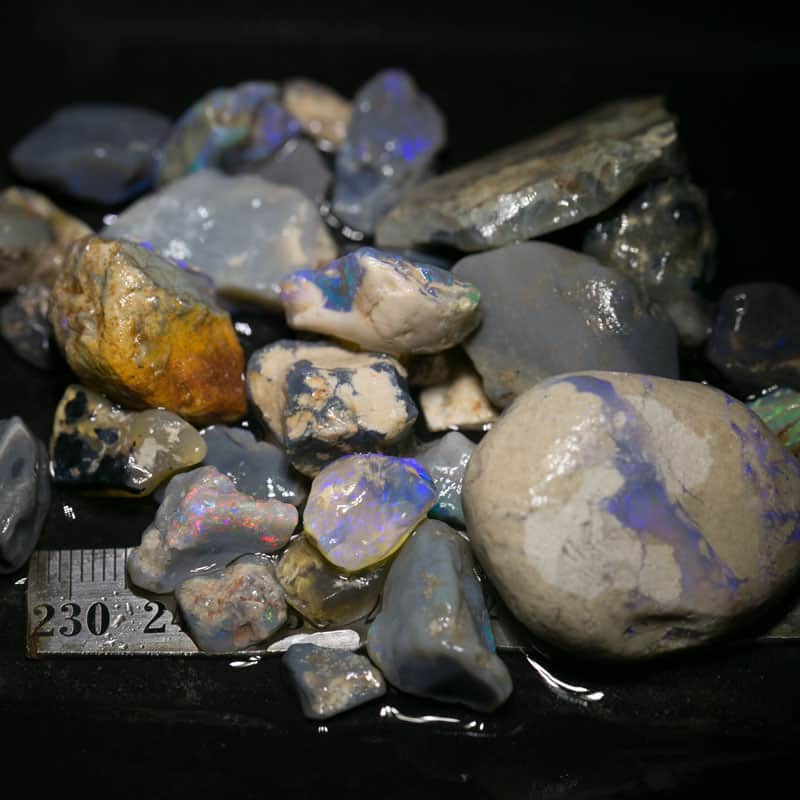 267 ct Beginners Rough Opal with Video Tutorials