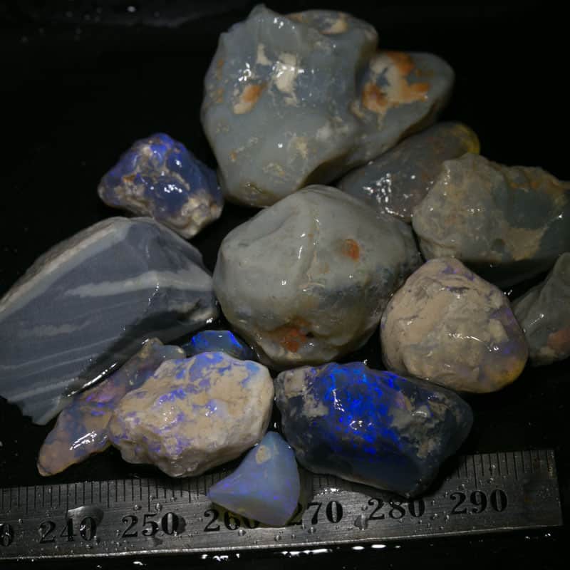 269 ct Beginners Rough Opal with Video Tutorials