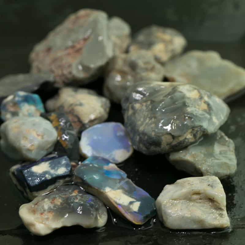 271ct Beginners Rough Opal with Video Tutorials